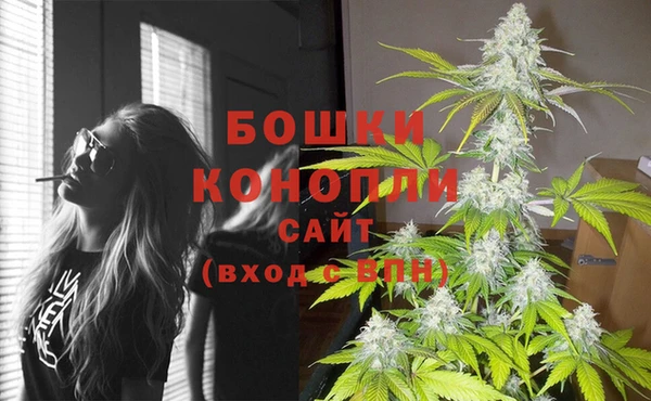 мяу мяу мука Новосибирск