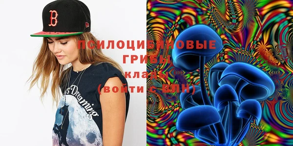 каннабис Ессентукская