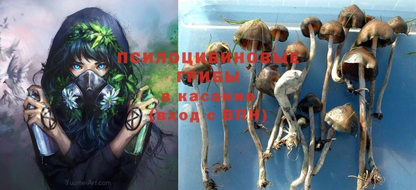 мяу мяу мука Новосибирск