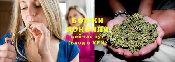 каннабис Ессентукская