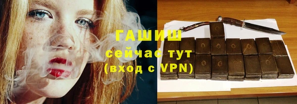 каннабис Ессентукская
